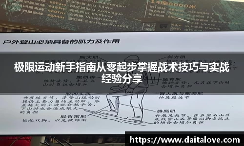 DB旗舰首页