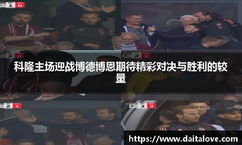 DB旗舰官网